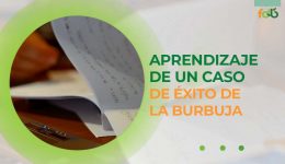 Aprendizaje de un caso de exito de la Burbuja